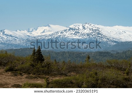 Mountain view from Risfjellet, Mo i Rana, Norway. Norwegian mountain landscape in early summer with snow on the high mountain peaks. Pine trees and high altitude. Mountain lake, fjord. Blue and green.
