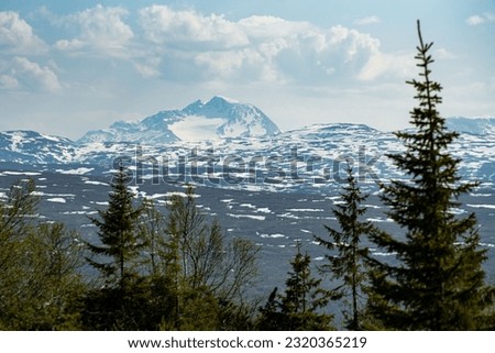 Mountain view from Risfjellet, Mo i Rana, Norway. Norwegian mountain landscape in early summer with snow on the high mountain peaks. Pine trees and high altitude. Mountain lake, fjord. Blue and green.