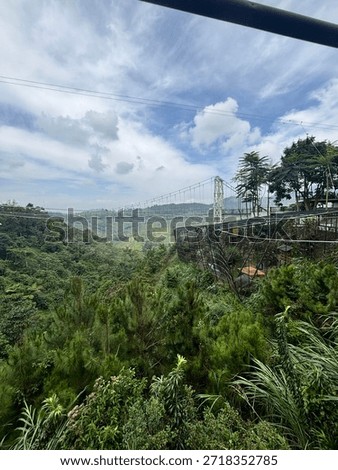 mountain view surrounded by trees