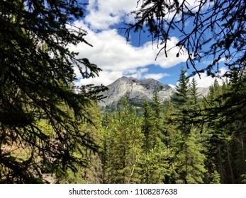 Mountain view through trees