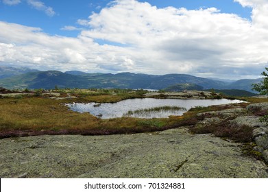 Mountain view towards Vraadal, Norway.  Norwegian mountains on a partly cloudy summer day.  Small pond with green and purple vegetation. Horizontal image with copy space in upper part.