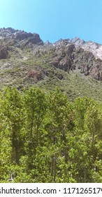Mountain View With Trees