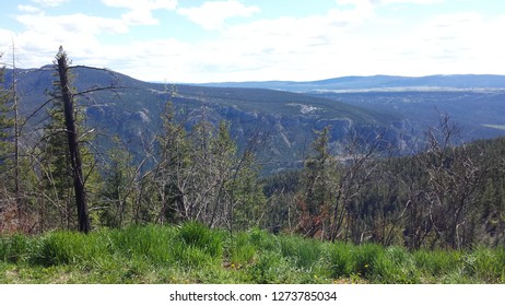 Mountain view with trees