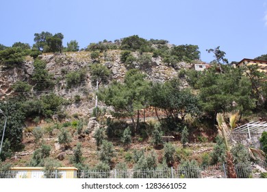 mountain view with trees