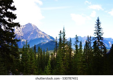 mountain view with trees 