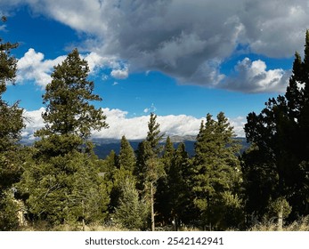 Mountain View of Trees and Clouds