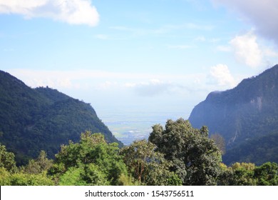 mountain view with trees foreground 