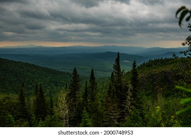 A mountain view under an overcast sky and orange sky in the background with pine trees in the forefront