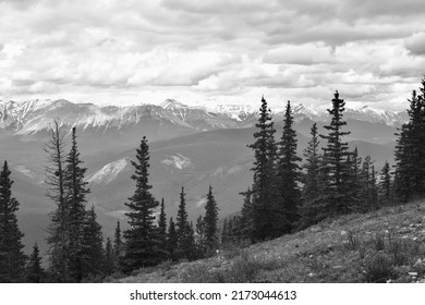 Mountain views from hiking trail in Kananaskis, Alberta (Monochrome)