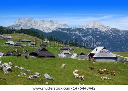 Mountain village in Alps, wooden houses in traditional style, Velika Planina, Slovenia, Europe                              