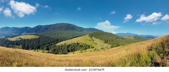 Mountain Village. Summer Country Landscape With Fir Forest On Slope (Carpathians, Ukraine).