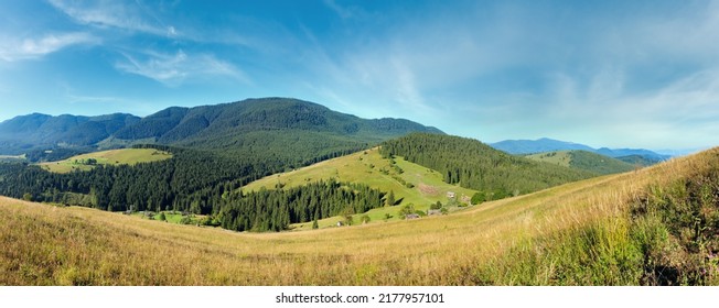 Mountain Village. Summer Country Landscape With Fir Forest On Slope (Carpathians, Ukraine).