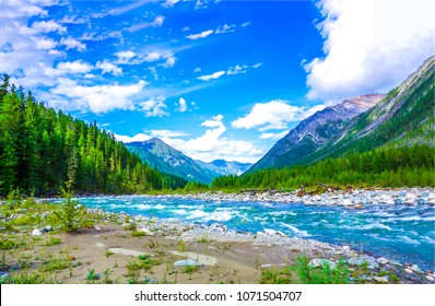 Mountain wild river stream landscape in river valley at summer