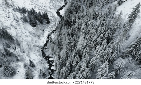 Mountain winding zig zag road. Top aerial view: pines trees and road from above in winter time. Alps area. Forest in snow. Snowy forest road. Forest road from above - Powered by Shutterstock