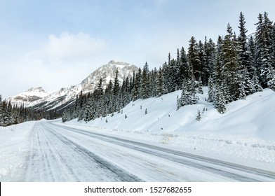 Mountain, winter highway with banks of snow, snow covered pine trees and mountain in the distance under a blue sky. 