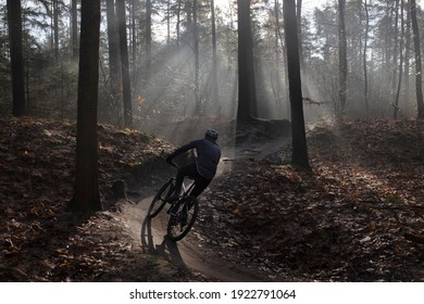 A mountainbiker cycling in the forest in the beautiful morning light during Corona lockdown.