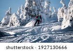 Mountaineer backcountry ski waling in the mountains. Ski touring in high alpine landscape with snowy trees. Adventure winter extreme sport.