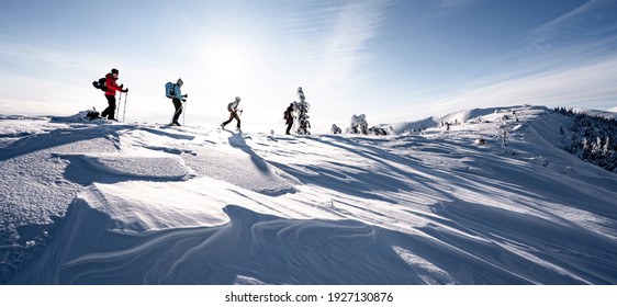 Mountaineer backcountry ski waling in the mountains. Ski touring in high alpine landscape with snowy trees. Adventure winter extreme sport. - Powered by Shutterstock