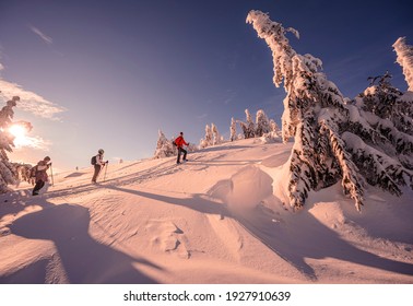 Mountaineer backcountry ski waling in the mountains. Ski touring in high alpine landscape with snowy trees. Adventure winter extreme sport.