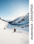 Mountaineer backcountry ski walking ski alpinist in the mountains. Ski touring in alpine landscape with snowy trees. Adventure winter sport. High tatras, Slovakia