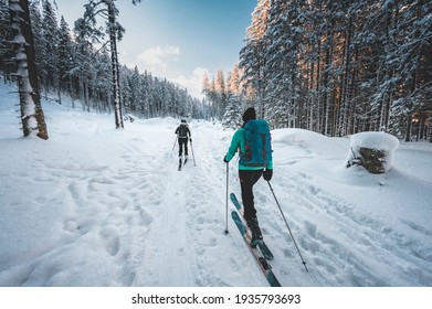 Montañeros de esquí de fondo, alpinistas en las montañas. Recorrido de esquí en paisaje alpino con árboles nevados. Deporte de invierno de aventura.