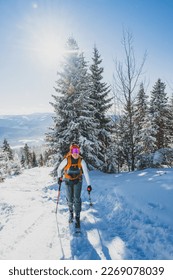 Mountaineer backcountry ski walking ski alpinist in the mountains. Ski touring in alpine landscape with snowy trees. Adventure winter sport. Kralova hola, Slovakia