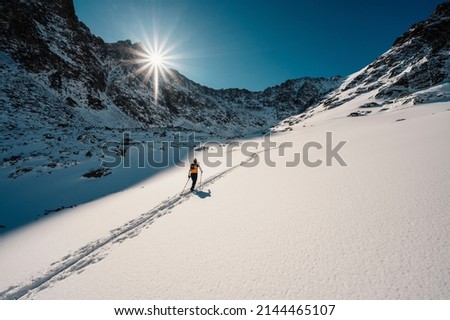 Mountaineer backcountry ski walking ski alpinist in the mountains. Ski touring in alpine landscape with snowy trees. Adventure winter sport. High tatras, slovakia landscape