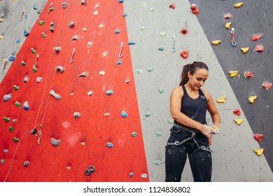 Mountaineer fitting harness on her waist preparing for climbing on high colorful artificial rock. - Powered by Shutterstock