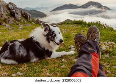 Mountaineer sitting on the ground next to his border collie dog watching the sunset after a day of trekking in the mountains.