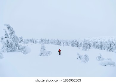 Mountaineer Trekking In The Snow At Lapland, Finland