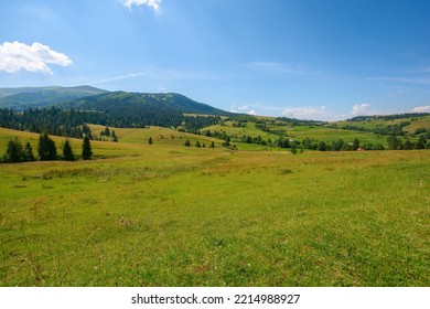mountainous countryside landscape in summer. green rural scenery with grassy pastures and forested hills. wonderful sunny weather with blue sky - Shutterstock ID 2214988927