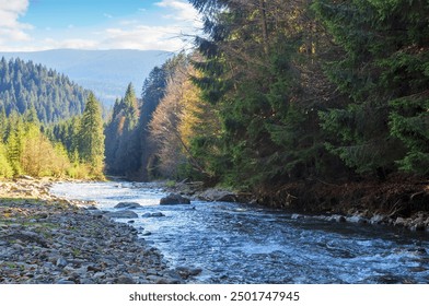 mountainous countryside scenery in the valley with shallow river. carpathinan nature landscape in fall season. synevyr national park. warm sunny weather in autumn - Powered by Shutterstock