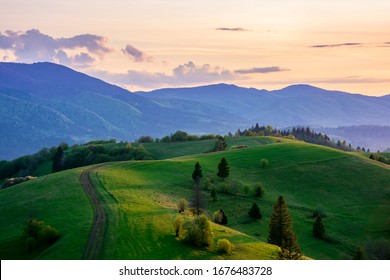 Beautiful Miraculous Colors Green Spring Panorama Stock Photo (Edit Now ...