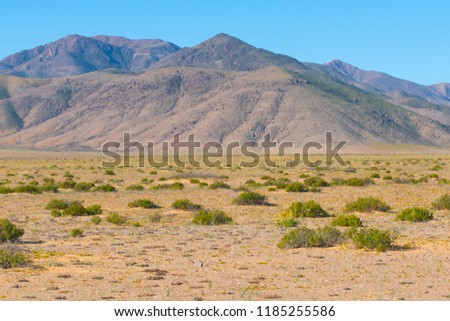 Similar – Image, Stock Photo Dry buds Environment