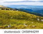 mountainous landscape with boulders on the grassy rolling hills in morning light. nature scenery of carpathians. mnt. runa also called smooth mountain located in transcarpathia, ukraine 