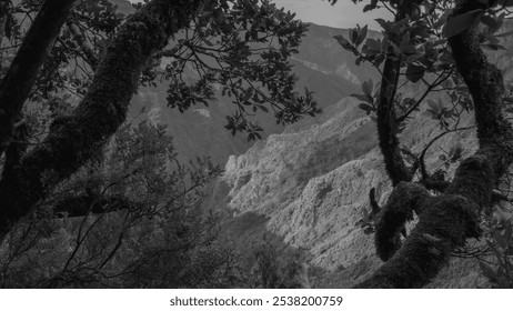 A mountainous landscape seen through moss-covered tree branches, captured in black and white, creating a dramatic, serene view of rugged terrain - Powered by Shutterstock