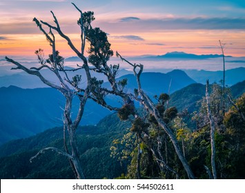 Mountainous Landscape And Trees In Morning In Digne In Kubor Range, Papua New Guinea. In This Region, One Can Only Meet People From Isolated Local Tribes.