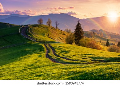 mountainous rural landscape in evening light. wooden fence along the path through rolling hills in fresh green grass. beautiful scenery in springtime. rainbow in sun light