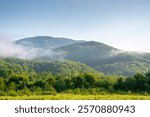 mountainous rural landscape of ukraine in summer. picturesque highland woods. grassy meadow on a misty morning. carpathian countryside scenery with forest on a hill behind the pasture