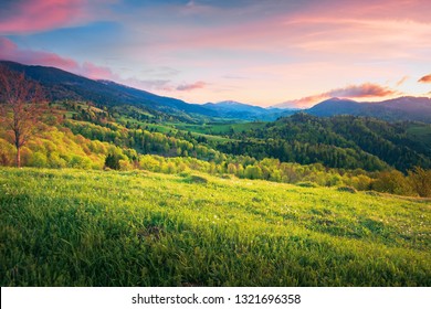mountainous springtime countryside at sunset. wonderful landscape with grassy meadow and forested hills. sky with red clouds - Shutterstock ID 1321696358