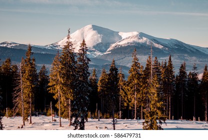 Mountains
