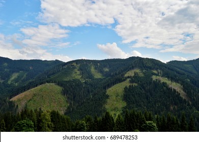 mountains