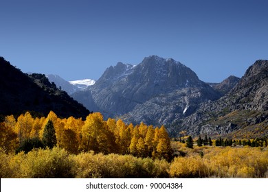 Mountains And Aspens, June Lake Loop, Fall, Eastern Sierra Nevada, California