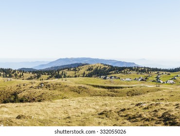 Mountains in autumn with pines forest, grass field on Velika Planina, Slovenian alps, Europe