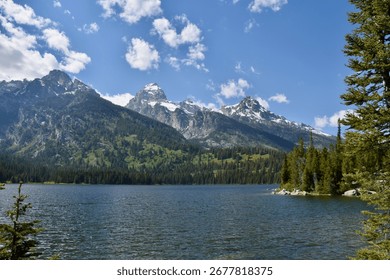 mountains are in the background