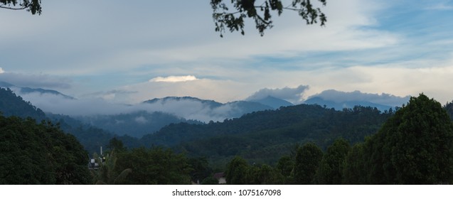 White black titiwangsa