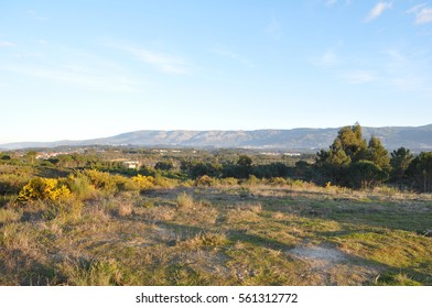 Mountains, bush - Shutterstock ID 561312772