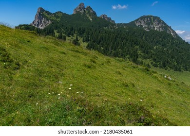 the mountains called Elsspitze (El's tip) and Breithorn with the forested steep slopes and alpine flowered meadows. beautiful summer holiday with hiking in Vorarlberg, Austria