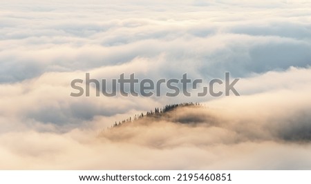 Mountains in clouds at sunrise. Mountain peak with trees in fog. Beautiful landscape with clouds, forest, sky. Carpathians, Ukraine, Europe