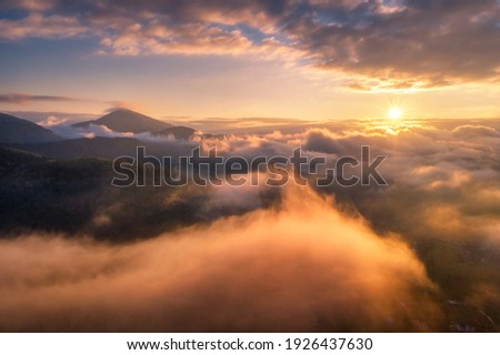 Mountains in clouds at sunrise in summer. Aerial view of mountain peak in fog. Beautiful landscape with high rocks, forest, sky. Top view from drone of mountain valley in low clouds. Foggy hills